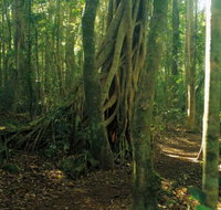 Tullawallal circuit - Maitland Accommodation