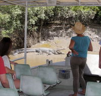 Whitsunday Crocodile Safari - Maitland Accommodation