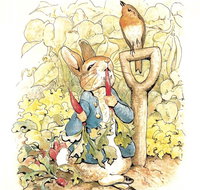 Mount Isa Civic Centre - Maitland Accommodation