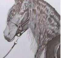 Great Lakes Art Society - Maitland Accommodation