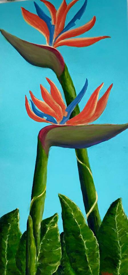 Toukley District Arts Society & Information Centre - Maitland Accommodation 1