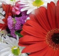 Marysworldart Bali Imports - Maitland Accommodation