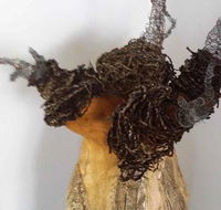 Caldera Wildscapes Gallery - Maitland Accommodation