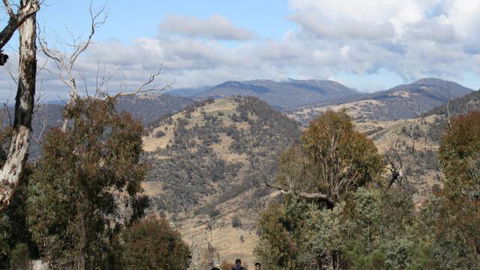 Mt Tennent - Maitland Accommodation 0