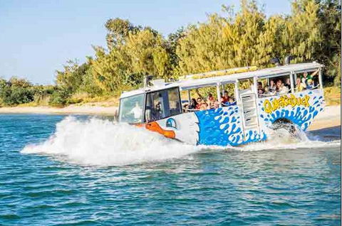 Quackr Duck - Maitland Accommodation 1