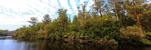 A R Reflections River Cruises - Maitland Accommodation 0