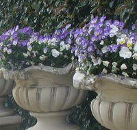 Gardenalia Open Garden and Rare Plant Nursery - Maitland Accommodation