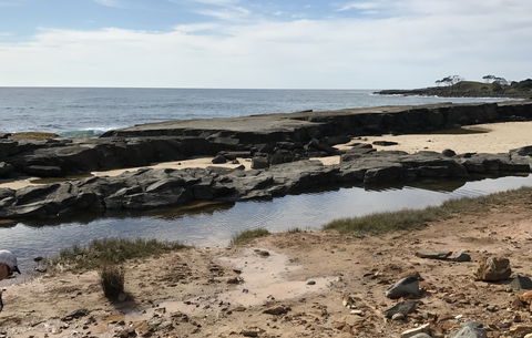 Yamba Tours And Charters - Maitland Accommodation 0