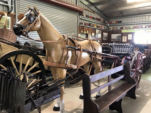 Yamba Tours And Charters - Maitland Accommodation 9