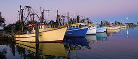 Yamba Tours And Charters - Maitland Accommodation 14