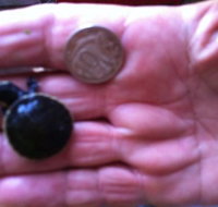 Hurleys Aquariums - Maitland Accommodation