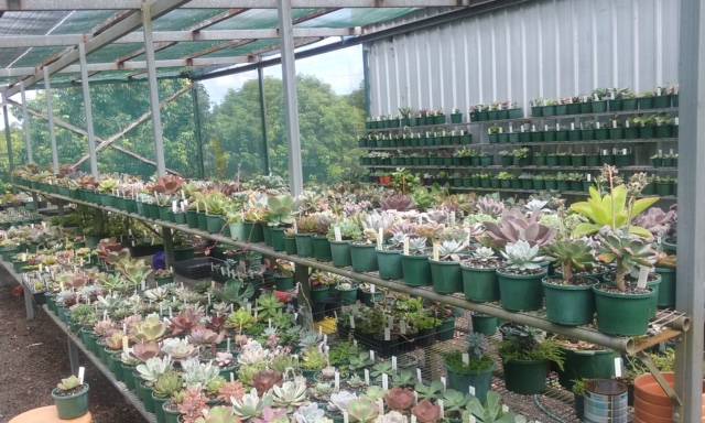 Wollongbar NSW Maitland Accommodation