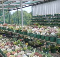 Summerland Aquarium - Maitland Accommodation