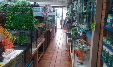 Summerland Aquarium - Maitland Accommodation 4