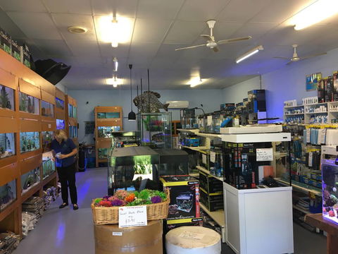 Aquamail - Maitland Accommodation 0