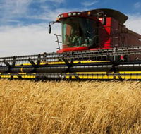 Quirindi Grain and produce - Maitland Accommodation