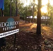 Didgeridoo Jam in the Park - Maitland Accommodation