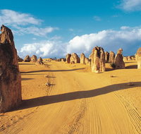Pinnacles Desert Koalas and Sandboarding 4WD Day Tour from Perth - Maitland Accommodation