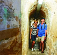 Rottnest Island Full-Day Trip With Guided Island Tour From Perth - Maitland Accommodation