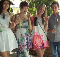 1/2 day Swan Valley Wine Cheese  Chocolate Tour Inc Afternoon Cruise to Perth - Maitland Accommodation