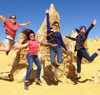 Pinnacles and Swan Valley Day Trip from Perth Including Caversham Wildlife Park Vineyard Lunch Pinnacles and Sandboarding - Maitland Accommodation