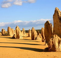 Pinnacles and Yanchep National Park Day Trip from Perth Including Lobster Shack Lunch and Sandboarding - Maitland Accommodation