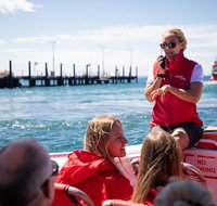 Rottnest Island Tour from Perth or Fremantle including Adventure Speed Boat Ride - Maitland Accommodation