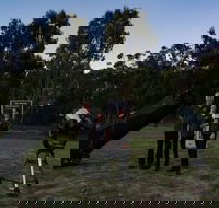 Stargazing Busselton with Mobile Observatory - Maitland Accommodation