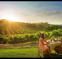 Private Swan Valley Tour by Luxury Vehicle from Perth - Maitland Accommodation