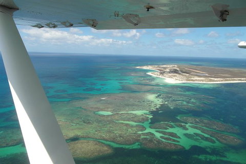 Abrolhos Flyover - Maitland Accommodation 1