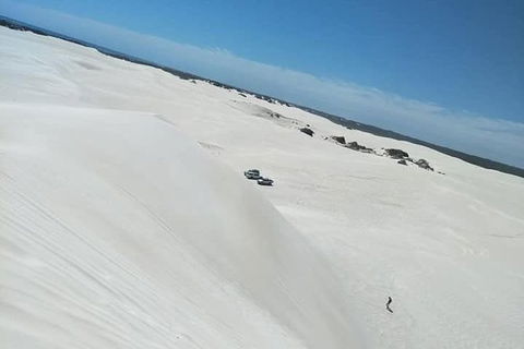 Yanchep & Lancelin - Wildlife, Cave And Sands - Maitland Accommodation 3