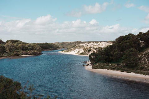 Yanchep & Lancelin - Wildlife, Cave And Sands - Maitland Accommodation 6
