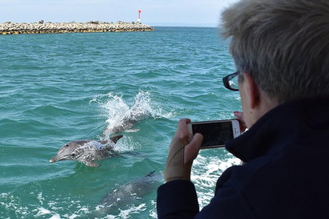 Mandurah Dolphin Island Adventure - Maitland Accommodation 0