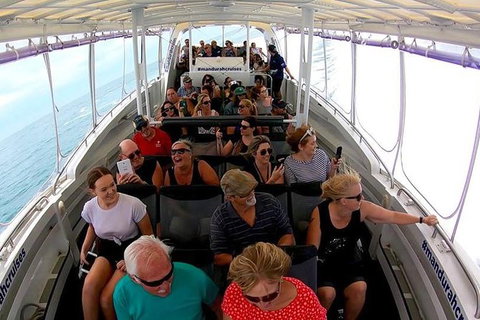 Mandurah Dolphin Island Adventure - Maitland Accommodation 1