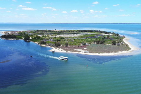 Mandurah Dolphin Island Adventure - Maitland Accommodation 8