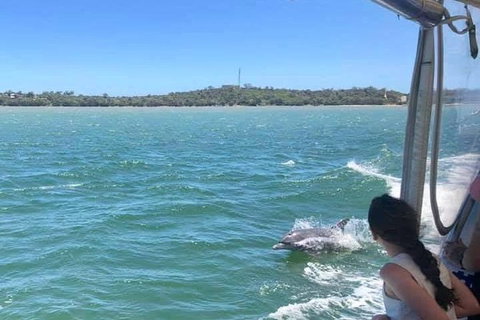 Mandurah Dolphin Island Adventure - Maitland Accommodation 9