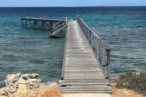 Abrolhos Flyover With Morning Tea On East Wallaby Island - Maitland Accommodation 1