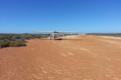 Abrolhos Islands Scenic Flight & Snorkel Adventure From Perth - Maitland Accommodation 6