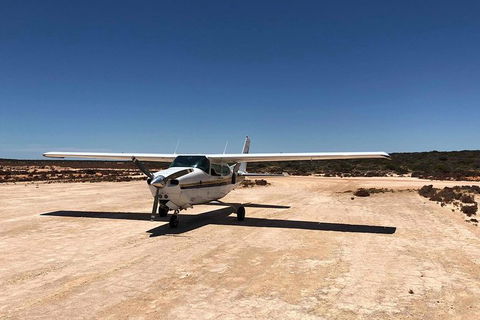 Kalbarri Gorges & West Coast - Ground & Air Tour - Maitland Accommodation 6