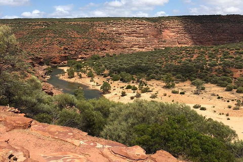 Kalbarri Gorges & West Coast - Ground & Air Tour - Maitland Accommodation 7