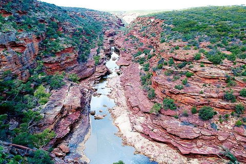 Kalbarri Gorges & West Coast - Ground & Air Tour - Maitland Accommodation 5