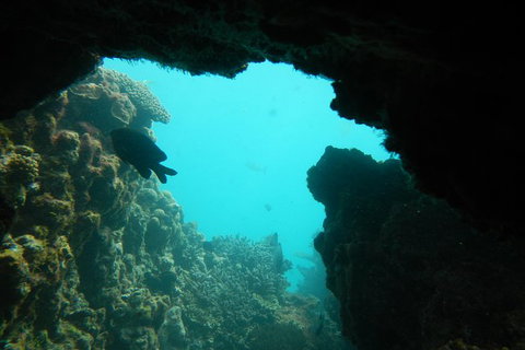 Half-Day Abrolhos Islands Shipwreck Air And Land Tour From Geraldton - Maitland Accommodation 0