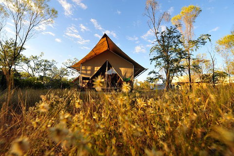 APT Kimberley Wilderness Adventures Purnululu (Bungle Bungle) 4WD Experience - Maitland Accommodation 10