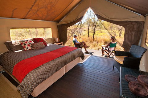 APT Kimberley Wilderness Adventures Purnululu (Bungle Bungle) 4WD Experience - Maitland Accommodation 4
