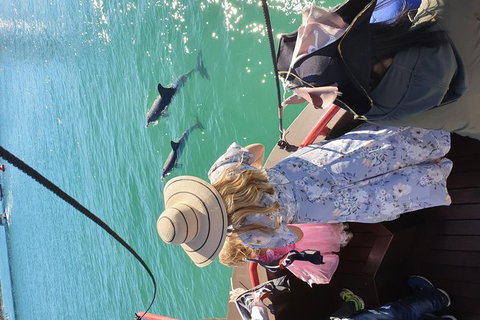 Pirate Ship Lunch Cruise (1.5hr) - Maitland Accommodation 7