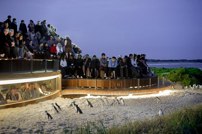 Phillip Island VIC Maitland Accommodation