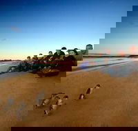 Phillip Island Ultimate Penguin Eco Tour or Skybox Experience - Maitland Accommodation