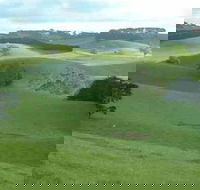 Day Tour of Phillip Island  Surrounding Region - Maitland Accommodation
