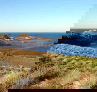 Phillip Island Walking  Bird Watching Tour - Maitland Accommodation