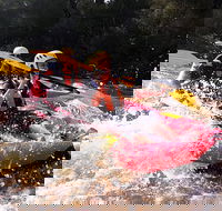Whitewater Sports rafting on the Yarra river - Maitland Accommodation